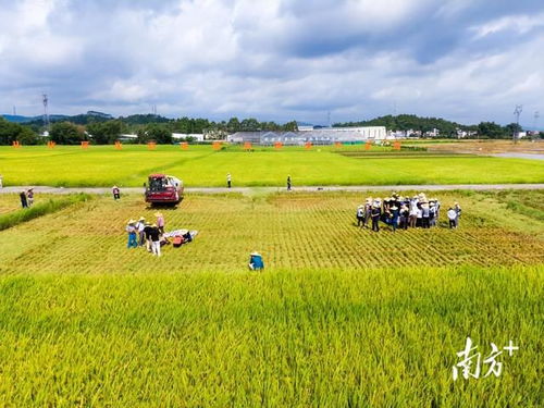 把就業機會留在農村 農業種植的潛力與路徑
