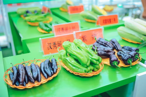 3000余種農作物亮相武漢種博會，端午假期邀市民共赴農業盛宴