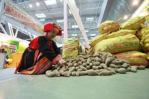 2019柳州農博會 萬種珍品薈萃，盡顯現代農業風采